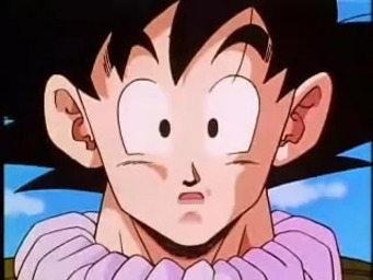 Goku usually has that look on his face